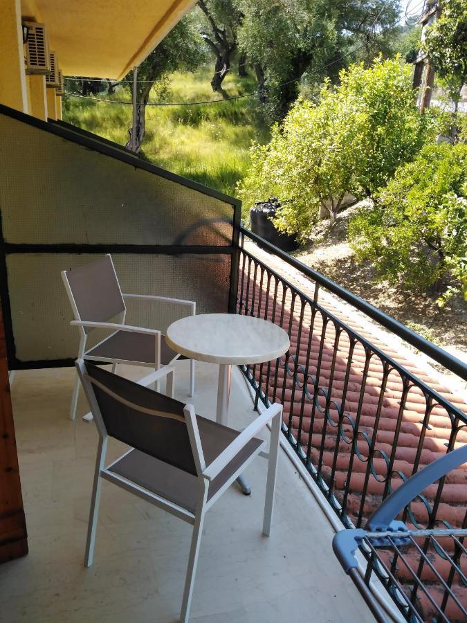 Ηotel Della Parga Buitenkant foto